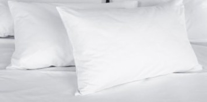 Φωτογραφία Κατηγορίας Μαξιλάρια Ύπνου | Γαρύφαλλο - Λευκά Είδη